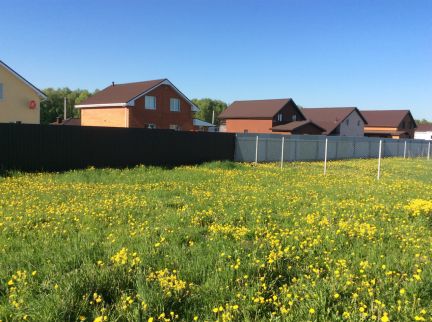 ������ ��� �� 75 �� �� ���� ��������� ���������� �������� ����� 75-� �������� (���� �19)