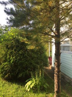 ������ ��������� ������� � ��� ������������� (���� �8)