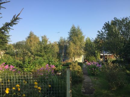 ������ ��������� ������� � ��� ������������� (���� �11)