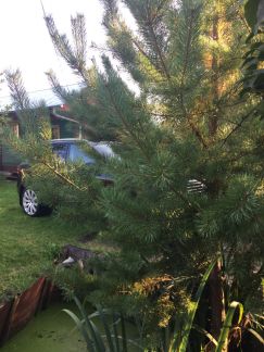 ������ ��������� ������� � ��� ������������� (���� �12)