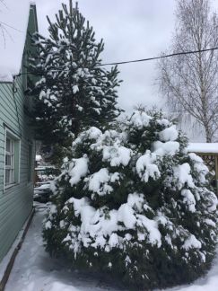 ������ ��������� ������� � ��� ������������� (���� �15)