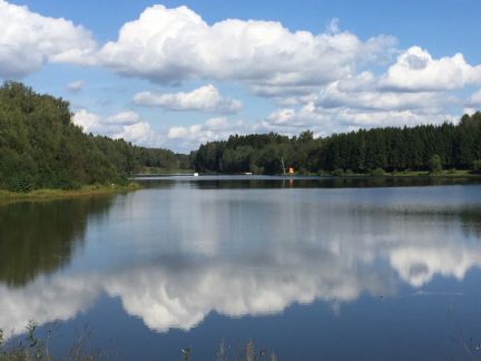 ������ ��� �� 65 �� �� ���� �������� ����� (���� �17)