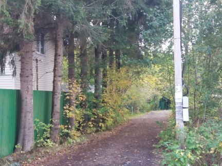 ������ ��������� ������� � ��� ������� �� 40 �� �� ���� (���� �7)