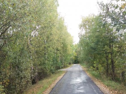 ������ ��������� ������� � ��� ������� �� 40 �� �� ���� (���� �9)