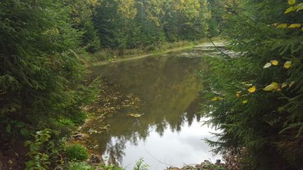 ������ ��������� ������� � ��� ������� (���� �18)