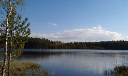 ������ ��������� ������� � ��� ������� �� 61 �� �� ���� (���� �2)