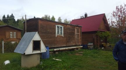 ������ ��������� ������� � ��� ������� (���� �19)