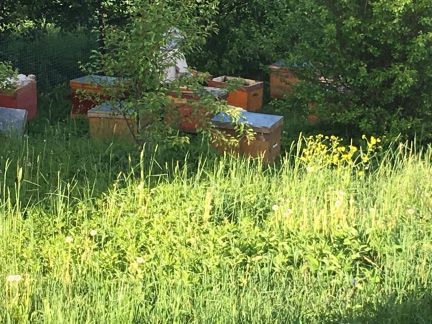 ������ ��������� ������� ����������������� ������� �������� ���������� ������ (���� �3)