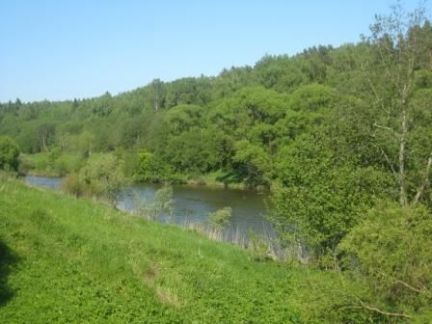 ������ ��������� ��������� ������� ������� ������� (���� �11)