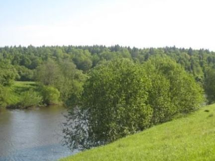 ������ ��������� ��������� ������� ������� ������� (���� �13)