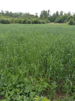 ������ ��������� ������� ����������������� ������� �������� ���������� ������ (���� �4)