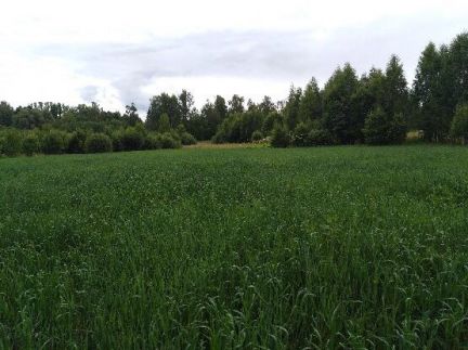 ������ ��������� ������� ����������������� ������� �������� ���������� ������ (���� �5)