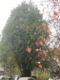 ������ ��������� ������� ������� (���� �6)