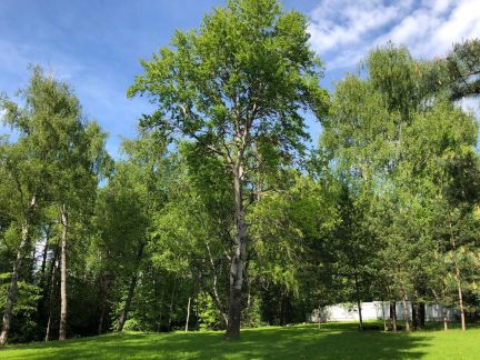 ����� ��� ��������� ���������� ����� � �������� (���� �7)