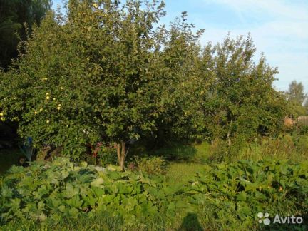 ������ ��������� ������� � ��� ��� (���� �4)