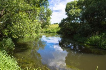 ������ ��������� ������� � �� �. �������� (���� �12)