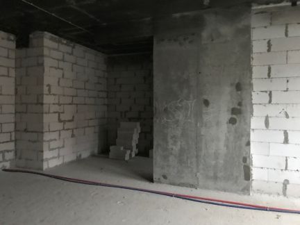       ( 11)