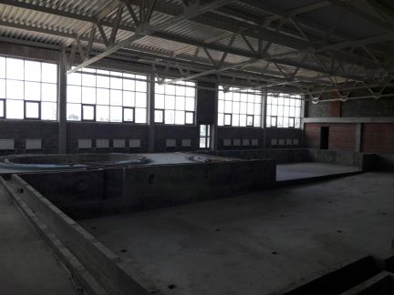       ( 3)
