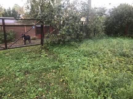 ������ ��������� ������� �� 40 �� �� ���� ������� �������� (���� �4)