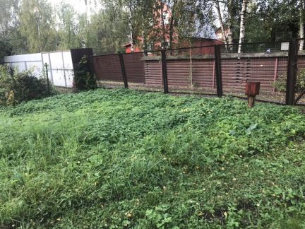 ������ ��������� ������� �� 40 �� �� ���� ������� �������� (���� �5)