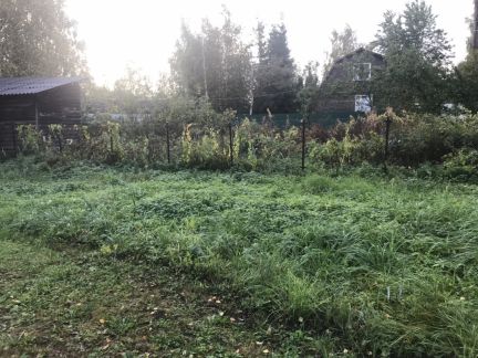 ������ ��������� ������� �� 40 �� �� ���� ������� �������� (���� �6)