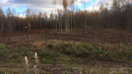 ������ ��������� ������� � ������� ��������� (���� �2)