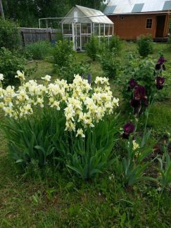 ������ ��������� ������� 12 ����� ���-��������� ���������������� ����� ����� ������-�������� (���� �6)