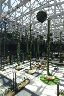 ����� ���� ��. ��������� 17 (���� �9)