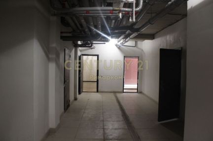 ������ ���� � ������� ����� ��������� ��������� 3 (���� �11)