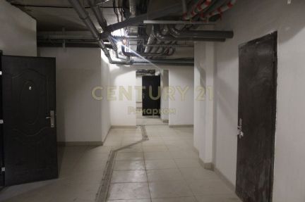 ������ ���� � ������� ����� ��������� ��������� 3 (���� �12)