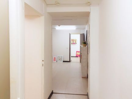     ( 2)