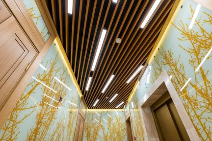 �� �������� ��� ������ (���� �16)