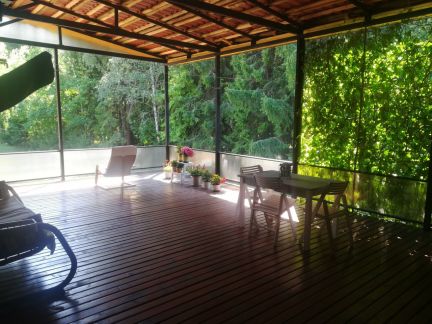 ������ ��� �������� (���� �12)