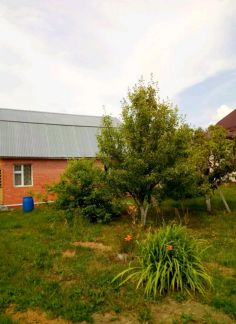 ������ ��������� ������� 10 ����� ����������� ����� 82�7 (���� �16)