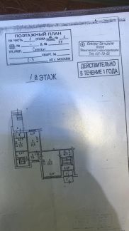         79 ( 3)