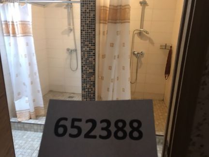       ( 11)