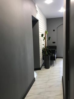         391 ( 13)