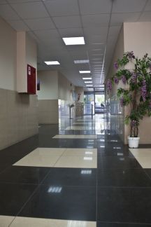 ����� ���� � �� ������� ����� (���� �7)