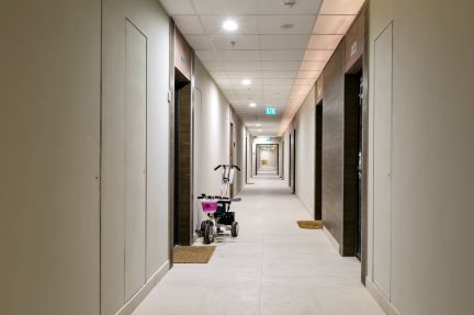 �� ������ ����� (���� �19)