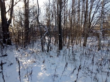 ������ ��������� ������� 15 ����� �������� ������� (���� �3)