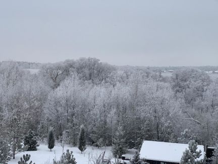 ����� ��������� ������� ��������� ����� (���� �17)