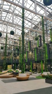 ����� ���� ��������� ����� ��������� 17 (���� �5)