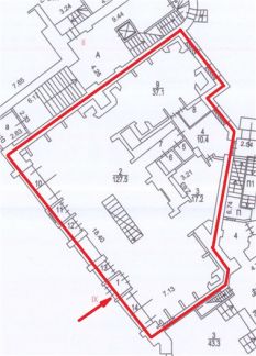       21 5 ( 9)