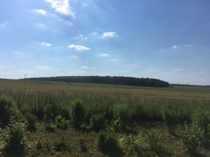 ������ ��������� ������� 9 ����� ������� ������� (���� �5)