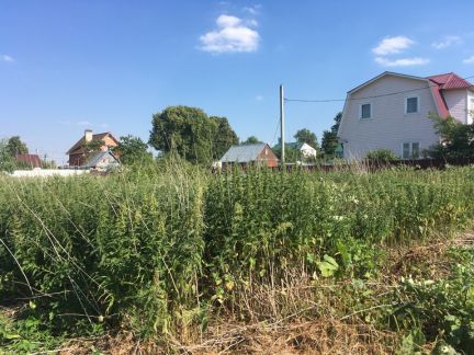 ������ ��������� ������� 9 ����� ������� ������� (���� �9)