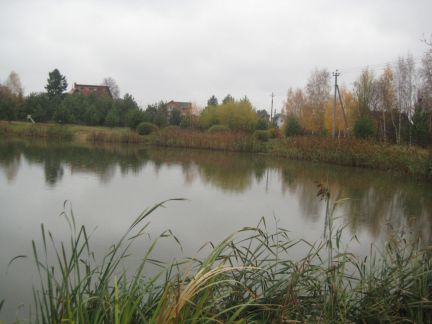      ( 4)
