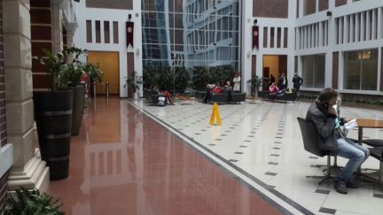     w plaza ( 5)