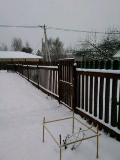 ������ ��� ����� ����������� ���� (���� �13)