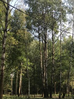 ������ ��������� ������� 5 ����� ����������� ����� (���� �3)