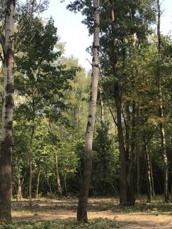 ������ ��������� ������� 5 ����� ����������� ����� (���� �4)